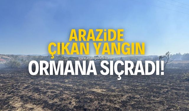 Tarlada çıkan yangın ormana sıçradı!