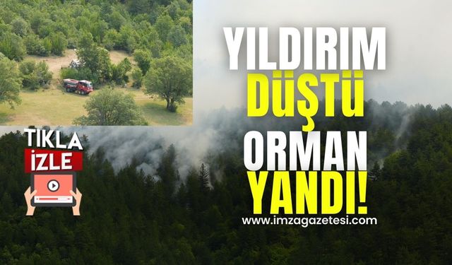 Yıldırım Düşmesi Sonucu Orman Yangını!