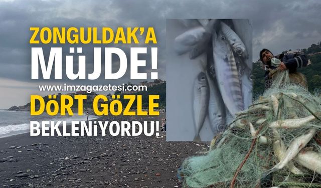 Zonguldak dört gözle bekliyordu: Palamut gözüktü!