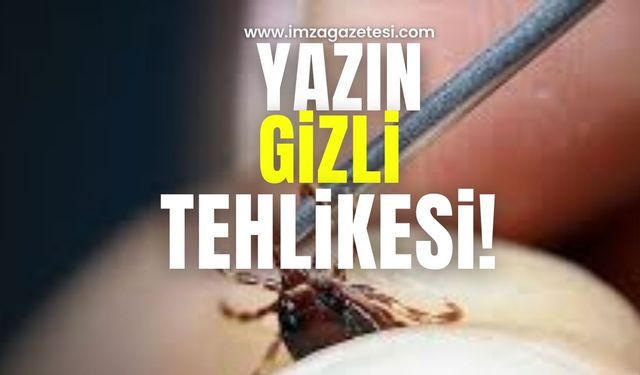 Yazın gizli tehlikesi... Aman dikkat!