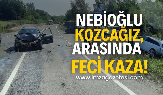 Nebioğlu-Kozcağız Yolunda Feci Kaza!