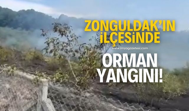 Zonguldak'ın Alaplı ilçesinde orman yangını! Ekipler müdahale ediyor