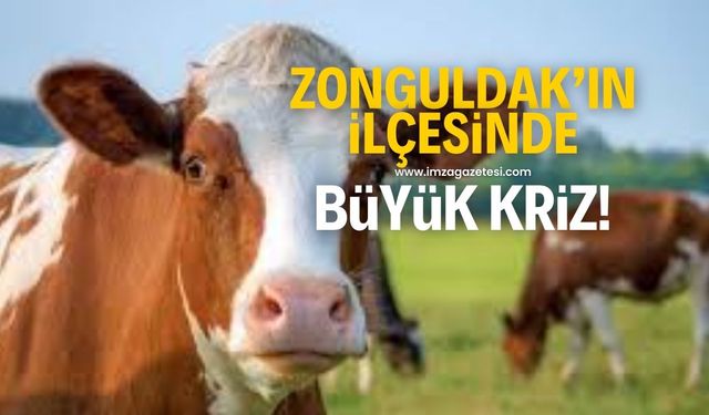 Zonguldak'ın ilçesinde büyük kriz!