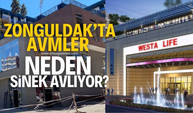 Zonguldak’ta AVM'ler neden sinek avlıyor?