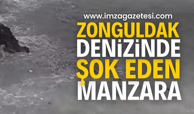 Zonguldak’ta Şok Eden Manzara: Bu ne rezillik?