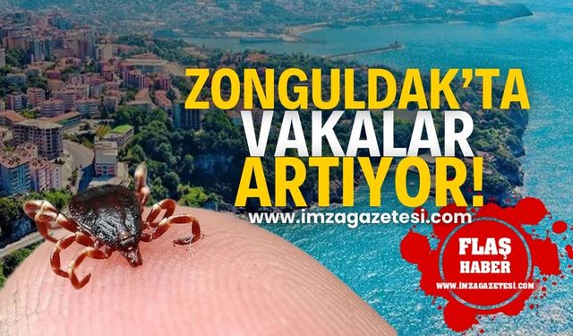 Zonguldak'ta vakalar artıyor! Dikkat!