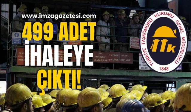 499 adet ihaleye çıktı!