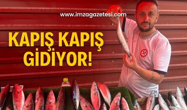 Tezgahların gözdesi oldu! Herkes oraya koşuyor