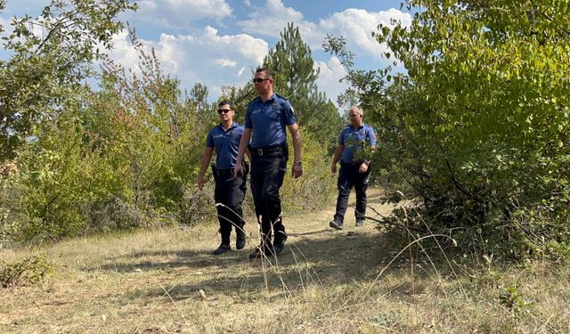 Polis ekipleri ormanlarda kuş uçurtmuyor!