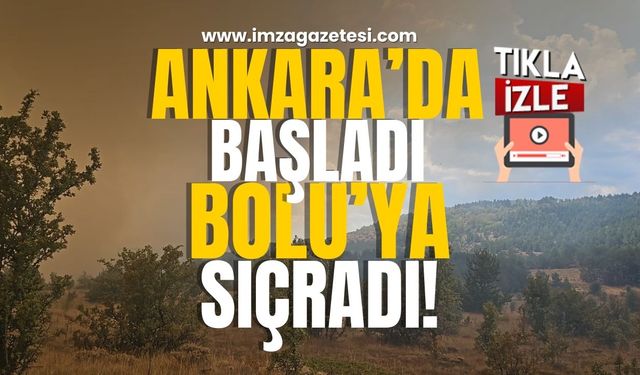 Ankara'daki Yangın Bolu'ya Sıçradı! Ekipler Seferber Edildi