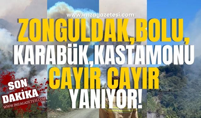 Batı Karadeniz Cayır Cayır Yanıyor! Zonguldak, Karabük, Kastamonu ve Bolu'da eş zamanlı yangın!