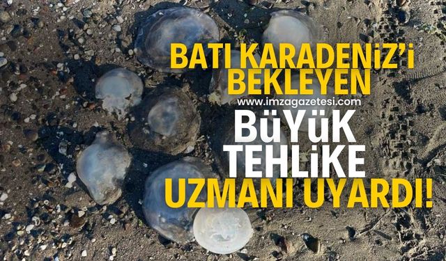 Batı Karadeniz'de büyük tehlike! Uzmanı uyardı!