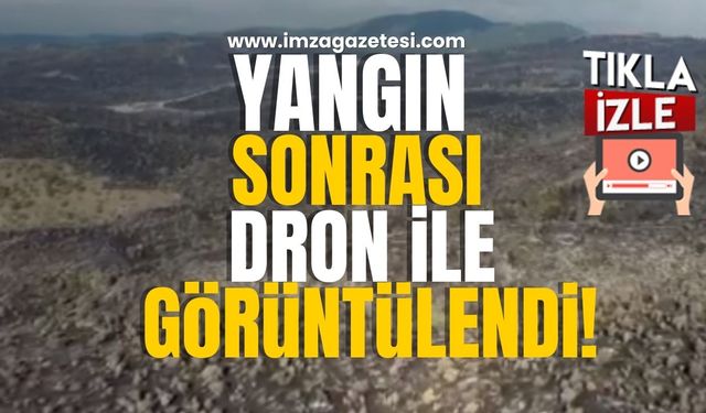 Bolu ormanlarının yangından sonraki hali içler acısı! Havadan görüntülenen ormanın son hali...