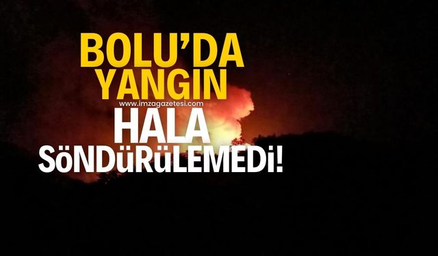 Bolu'da çıkan orman yangını hala söndürülemedi!