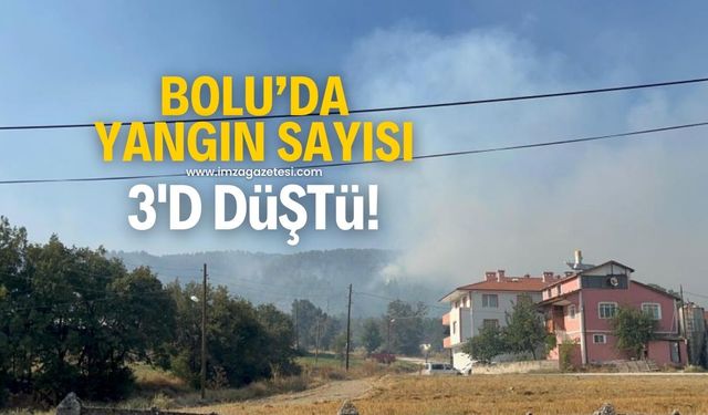 Bolu'da yangınlara müdahale sürüyor! 12 farklı noktada çıkan yangın sayısı 3'e düştü