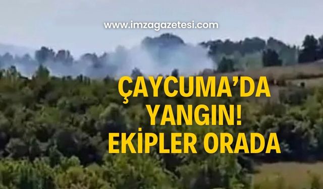 Çaycuma’da yangın! Ekipler sevk edildi