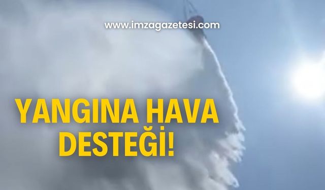 Devrek’de ciğerlerimiz yanıyor! Hava desteği geldi