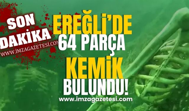 Ereğli'de Atmış Dört Parça Kemik Bulundu!