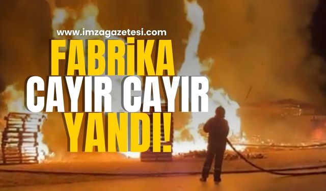 Fabrikada yangın! Cayır cayır yandı!