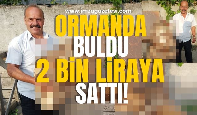 Görülmemiş şey! Ormanda buldu, iki bin liraya sattı!