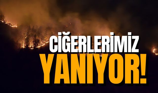 Orman yangınları Batı Karadeniz'i tehdit ediyor! Ciğerlerimiz yanıyor!