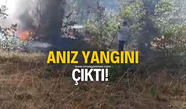 Anız yangını büyümeden söndürüldü!