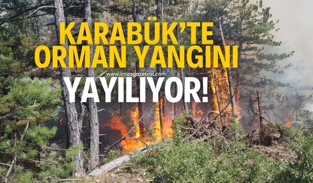 Karabük'te çıkan orman yangını yayılıyor!