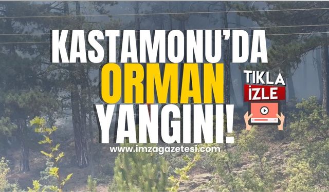 Kastamonu'da Orman Yangını Çıktı!