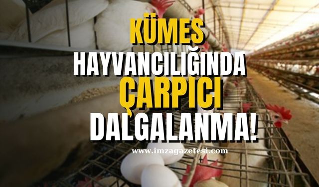 Kümes Hayvancılığı Üretiminde Çarpıcı Dalgalanmalar!