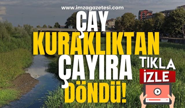 Kuraklık Çayı Kuruttu!