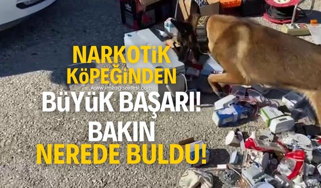 Narkotik köpeği bakın uyuşturucuyu nerede ve nasıl buldu! Büyük başarı...