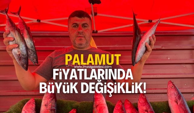 Palamut Fiyatında Yeniden Değişiklik: Zonguldak Tezgahlarında Son Durum