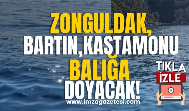 Palamutlar ve kefaller hareketlendi! Zonguldak, Bartın, Kastamonu'da balık sezonu bereketli mi geçecek?