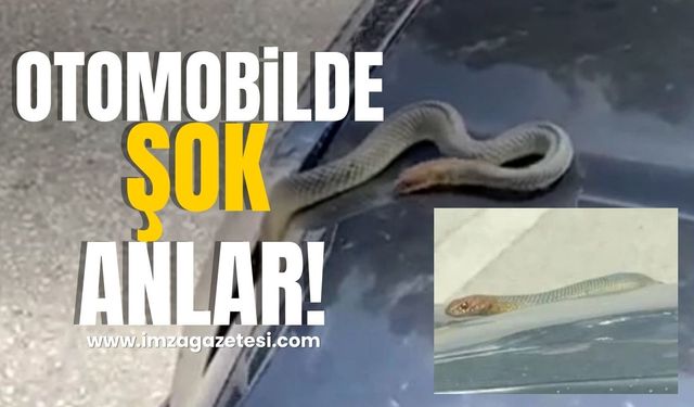 Seyir Halindeki Otomobilde Şok Anlar!