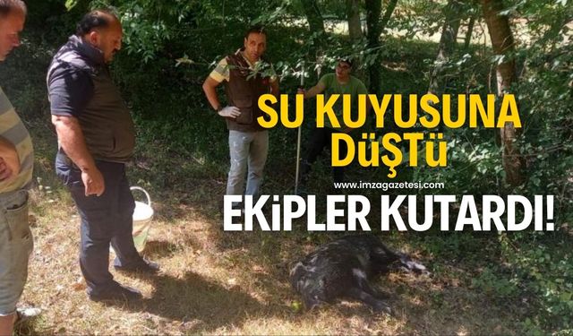 Su kuyusuna düştü ekipler tarafından kurtarıldı!