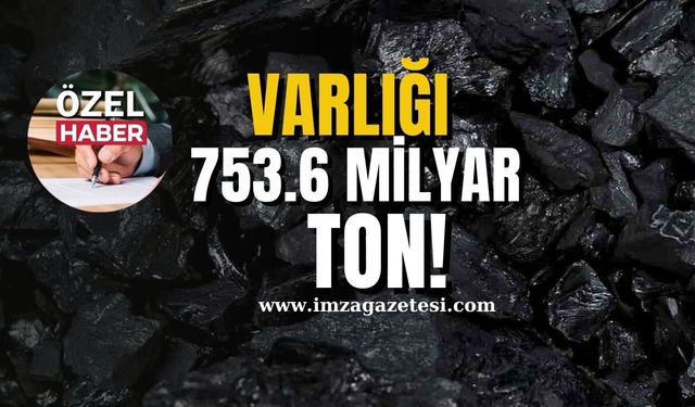 Dünyadaki varlığı 753.6 milyar ton!