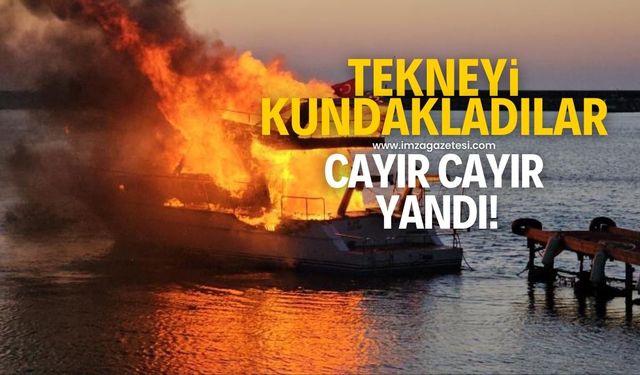 Turizm şirketine ait tekneyi ve otobüsü kundakladılar! Hem otobüs hem de tekne cayır cayır yandı