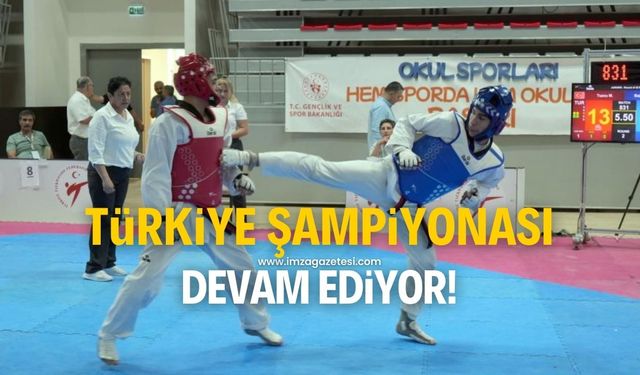 Türkiye Taekwondo Şampiyonası, Kastamonu'da devam ediyor!