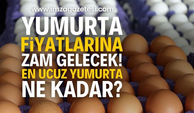 Yumurta Fiyatlarına Zam Yolda mı? Sosyal Medyada Yayılan İddialar