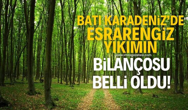 Zonguldak, Bartın ve Karabük'te yaşanan esrarengiz yıkımın bilançosu belli olmaya başladı!