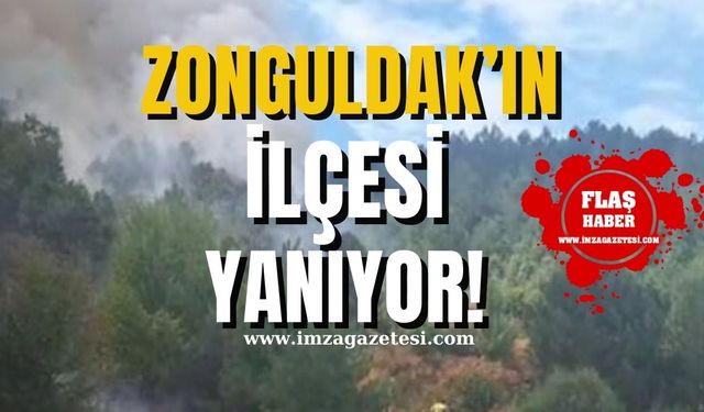 Zonguldak'ın ilçesinde büyük orman yangını! Kontrol Altına Alınamıyor, Takviye Ekipler Acil Aranıyor!