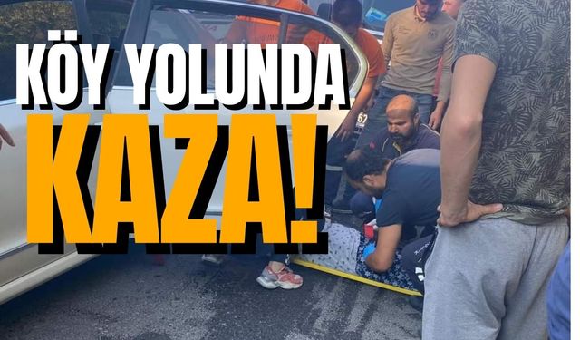 Zonguldak'ın ilçesinde köy yolunda kaza! Çok sayıda yaralı...