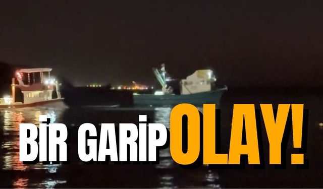 Zonguldak'ın en gözde beldesinde bir garip olay! Vatandaş korktu, ekipler harekete geçti...