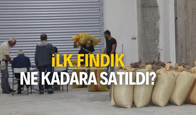 Zonguldak'ın Alaplı ilçesinde ilk fındık satıldı!