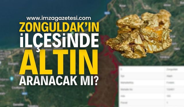 Zonguldak'ın ilçelerinde altın aranacak mı?