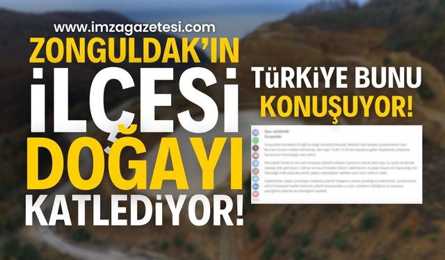 Zonguldak'ın İlçesinde Neler Oluyor? Borcam Kuvars Maden sahasında yaşanan olay: "Doğanın Canını Okudu"