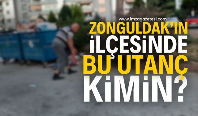 Zonguldak'ın ilçesinde şok görüntü: Bu utanç kimin?