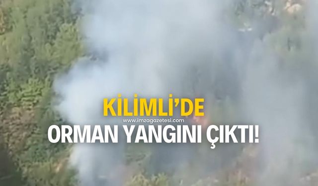 Zonguldak'ın Kilimli ilçesinde orman yangını çıktı! Ekipler sevk edildi