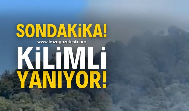 Zonguldak’ın Kilimli ilçesinde Yangın!