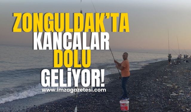 Zonguldak'ın sahilinde amatör balıkçıların keyfi... Kancalar dolu geliyor!